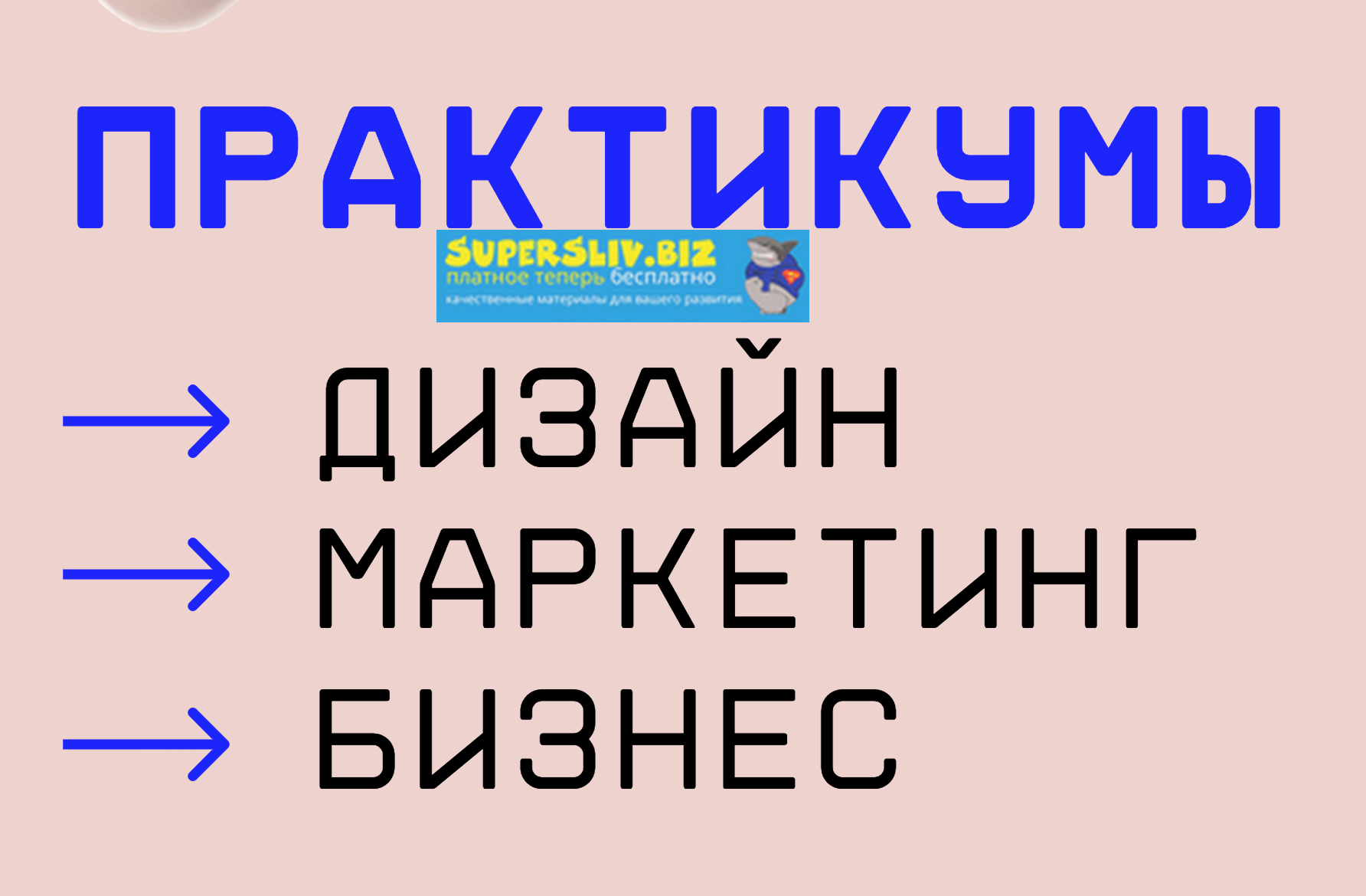 Praktika.School Курсы и лекции в сфере маркетинга, дизайна и бизнеса 2019 слив курса