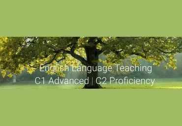 Ксения Шперл Серия видео CPE Writing self-study 2023 скачать слив