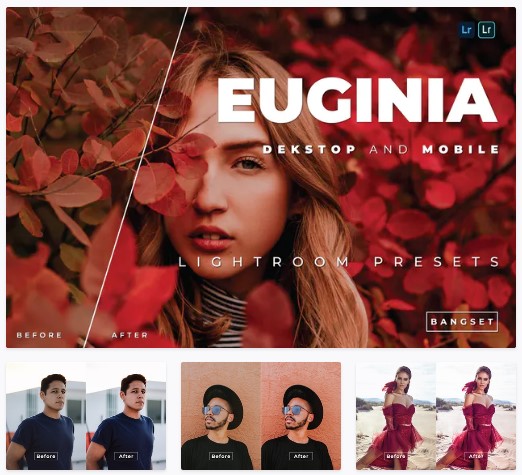 Elements.Envato Euginia Desktop and Mobile Lightroom Preset 2021 слив курса