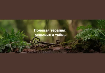 Институт Открытого поля Елена Веселаго ― Полевая терапия: решения и тайны 2025 слив
