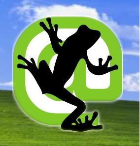 Screaming Frog SEO Spider 2.55 слив курса