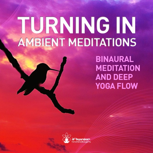 iAwake - Turning In. Ambient Meditations 2015 слив курса