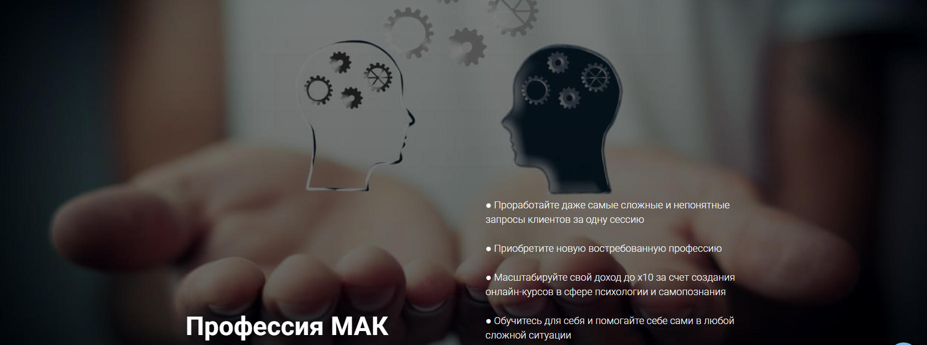 Софья Ванеева, Татьяна Гаврилова Профессия МАК. Тариф Профессия 2022 слив курса