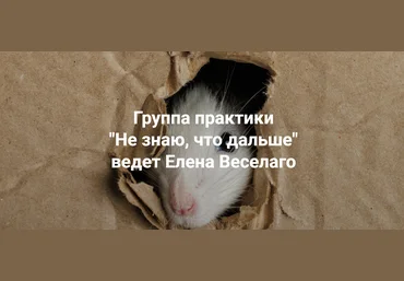 Институт открытого поля Елена Веселаго ― Не знаю, что дальше 2024 слив
