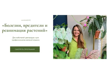 Ксения Занина Болезни, вредители и реанимация растений 2024 слив