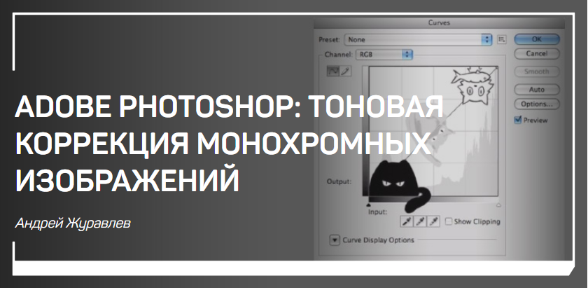 Adobe Photoshop: тоновая коррекция монохромных изображений - Журавлев 2018 слив курса