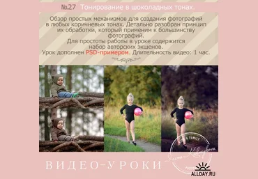 Тонирование в шоколадных тонах. Урок № 27 - Калмыкова слив