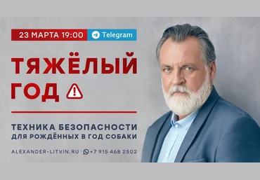 Александр Литвин Тяжелый год. Техника безопасности для рожденных в год Собаки 2024 слив