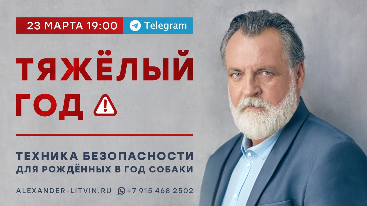 Александр Литвин Тяжелый год. Техника безопасности для рожденных в год Собаки 2024 слив курса