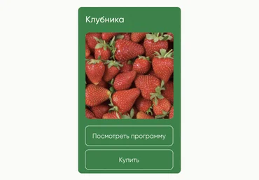 Школа нетипичного фермера Анна Акинина — Клубника 2024 слив