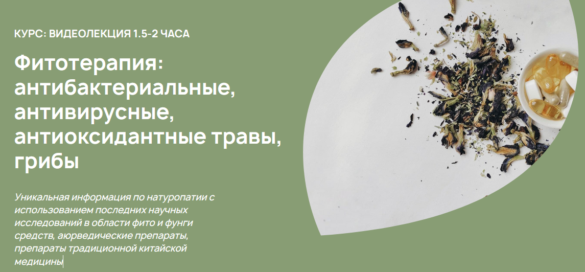 А. Родионова Фитотерапия: антибактериальные, антивирусные, антиоксидантные травы, грибы 2023 слив курса