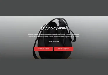 Юлия Катькало Вебинар «Гид по сумкам» 2023 слив