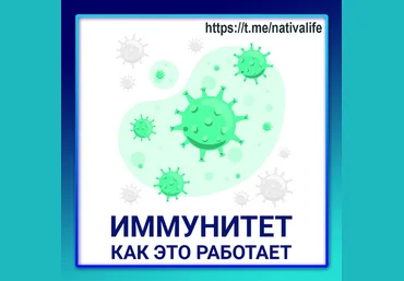 Виктория Самира nativalife Иммунитет: как это работает. Биологика. Физиология 2024 слив
