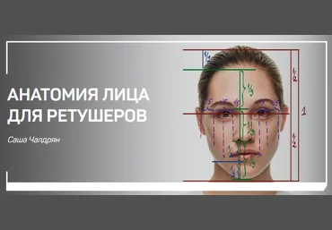 Саша Чалдрян Анатомия лица для ретушеров слив