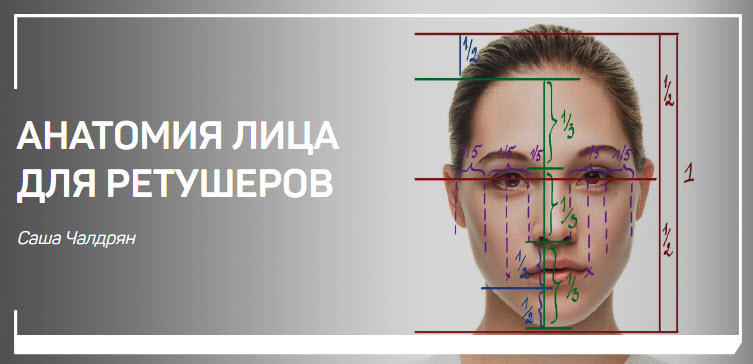 Саша Чалдрян Анатомия лица для ретушеров слив курса