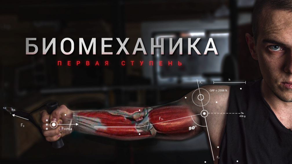 BIOMACHINE Роман Овчаро́в - Методический материал BMCHN LVL 1 2021 слив курса