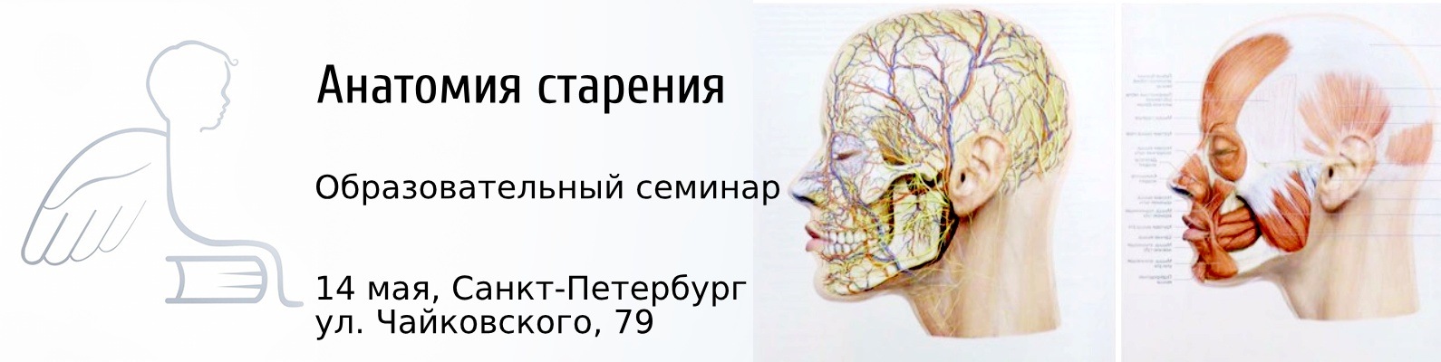 Елена Земскова Анатомия старения. Практические аспекты. Видеоуроки 2021 слив курса