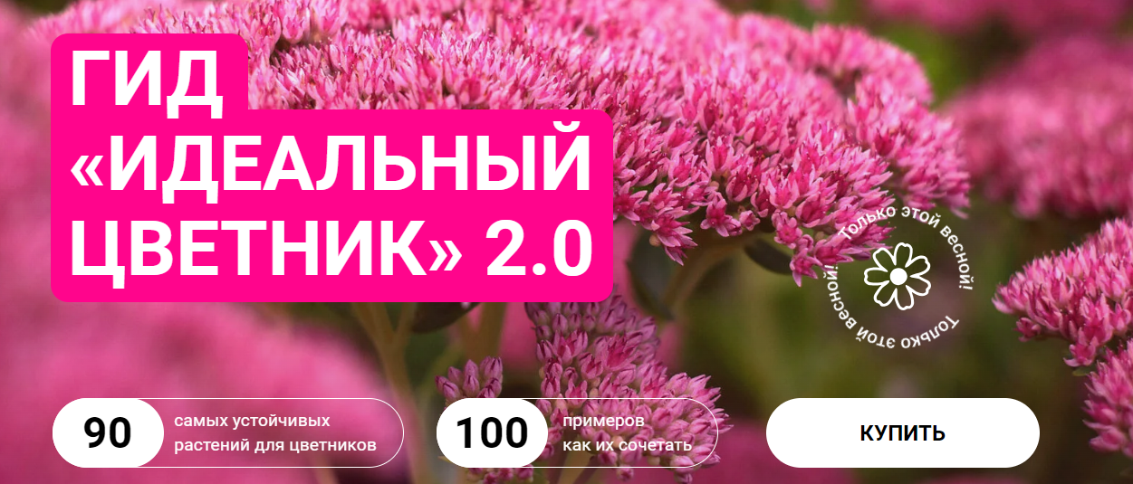 Марина Берестова Гид «Идеальный цветник» 2.0 2024 слив курса
