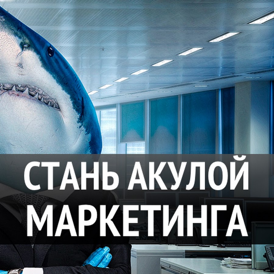 Антон Даниелян Акула Маркетингового Бизнеса 1.0 2018 слив курса