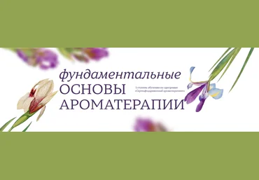 Джейд Шутс Aromatic Studies Фундаментальные основы ароматерапии. 1 ступень 2024 слив