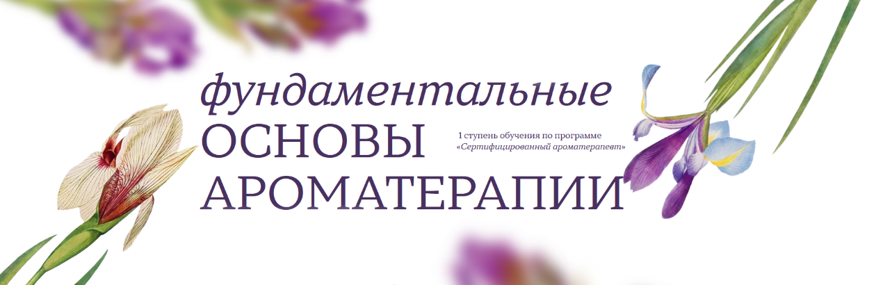 Джейд Шутс Aromatic Studies Фундаментальные основы ароматерапии. 1 ступень 2024 слив курса