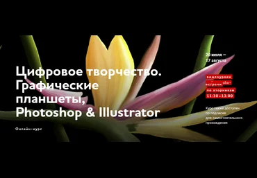 Юниверс Александр Сераков - Цифровое творчество. Графические планшеты, Photoshop & Illustrator слив