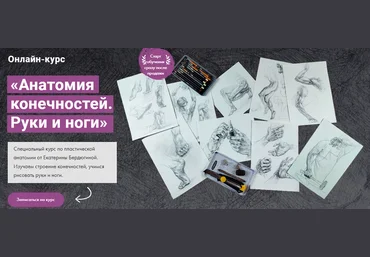 Художник Online Екатерина Бердюгина - Анатомия конечностей. Руки и ноги 2023 слив