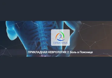 Мария Недре Центр Практика Прикладная неврология 2: боль в пояснице 2025 слив
