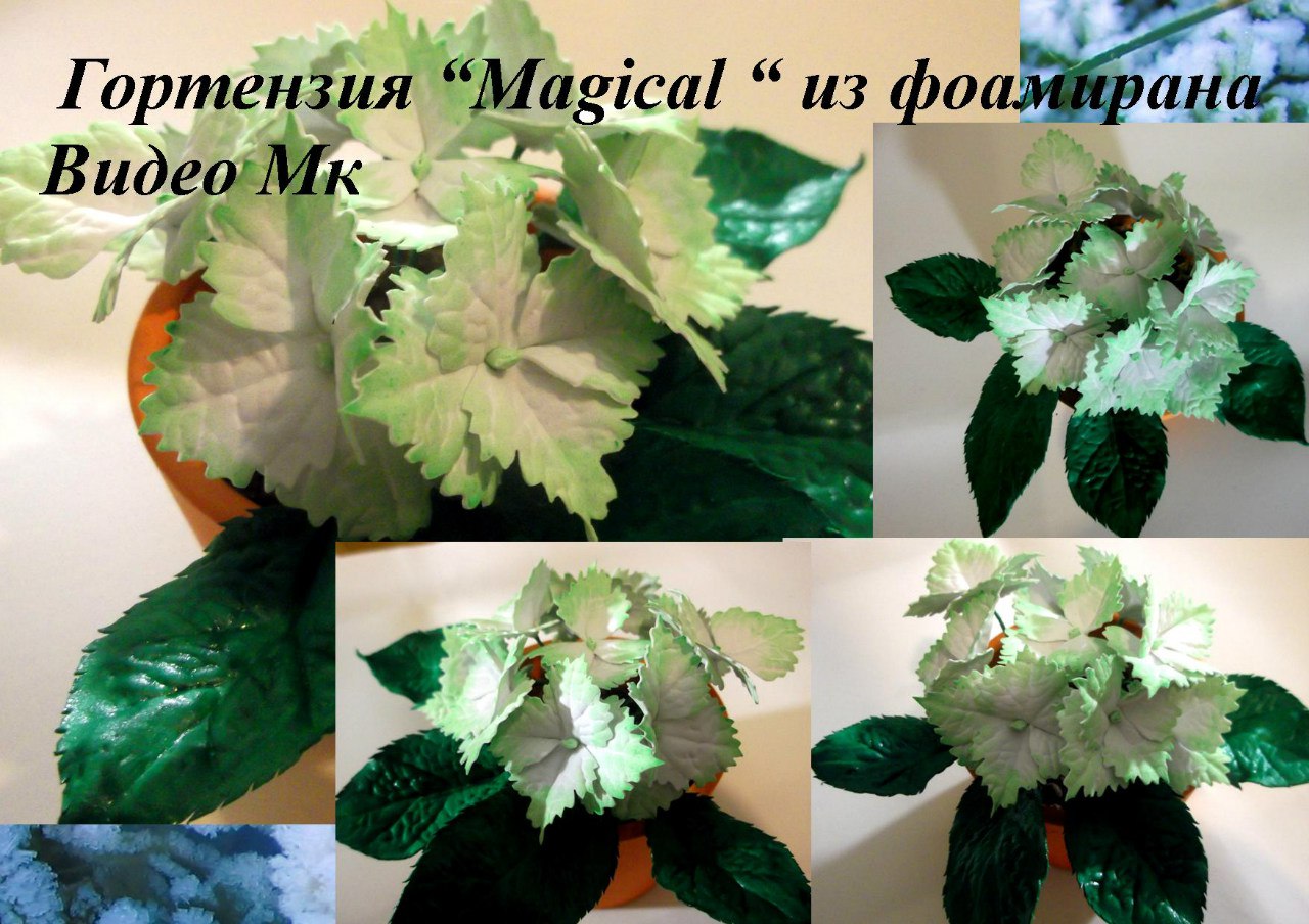 Гортензия Magical из фоамирана - Мирсанова 2016 слив курса