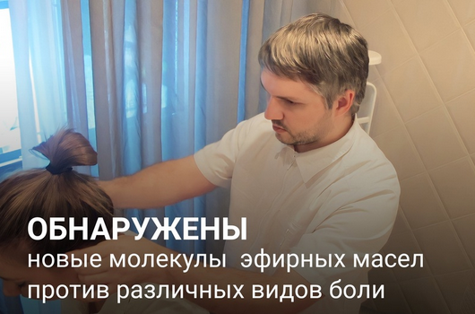 Илья Чумаков Академия AromaVita Ароматерапия. Головные боли 2023 слив курса