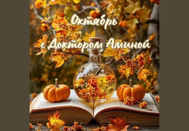 Амина Пирманова Доктор Амина 15.10.24-14.11.24 слив
