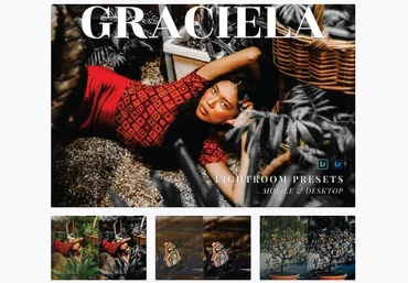 Elements.Envato Graciela Mobile and Desktop Lightroom Presets 2021 слив