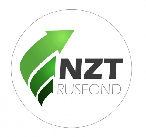 nztrusfond Большой разбор идей NZT по рынку США: более 50 эмитентов 2021 слив курса