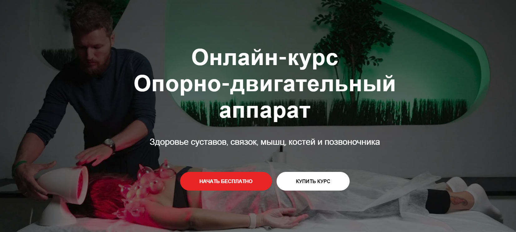 Тимофей Кармацкий Опорно-двигательный аппарат 2022 слив курса