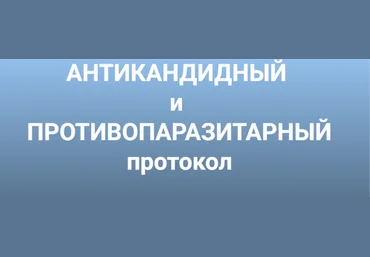 Инга Дубинина Антикандитный и антипаразитарный протокол 2023 слив