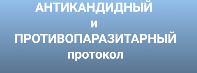 Инга Дубинина Антикандитный и антипаразитарный протокол 2023 слив курса
