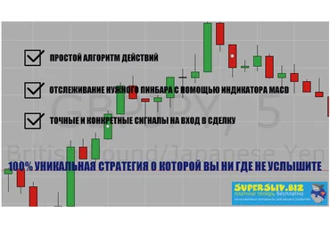 Bo-sbornik Стратегия Pinbartrue слив