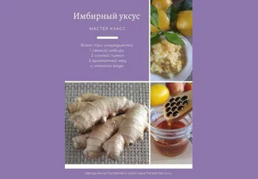Анна Fermenterra Fermenterra Имбирный уксус 2023 слив