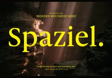 Fontbundles Spaziel Font 2021 скачать слив