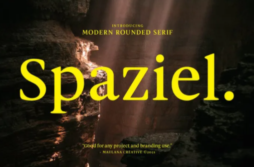 Fontbundles Spaziel Font 2021 слив курса