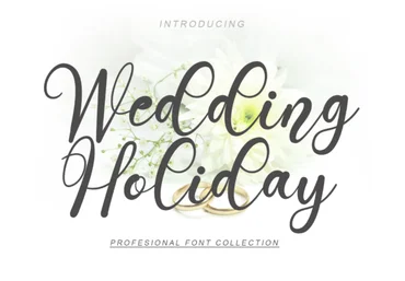 Creativefabrica Wedding Holiday Font 2021 слив