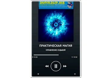 Евгений Гильбо Практическая магия: управление судьбой слив