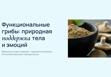 УОМ Функциональные грибы: природная поддержка тела и эмоций 2025 скачать слив