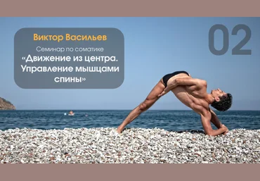 Соматика «Движение из центра. День 2. Управление мышцами спины» слив