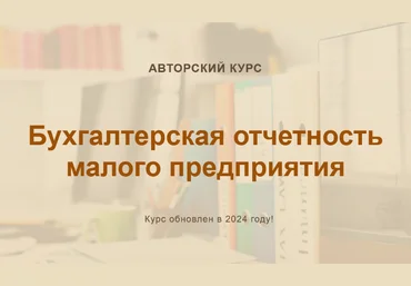 О. Шулова, В. Власенко Бухгалтерская отчетность малого предприятия. Конспект 2024 слив