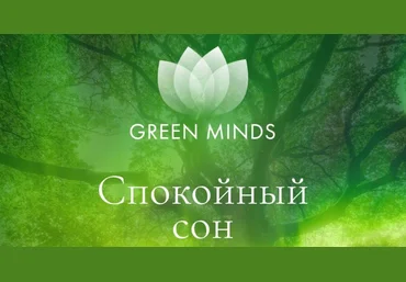 Алексей Ситников Нейромедитация GREEN MINDS «Спокойный сон» 2023 скачать слив