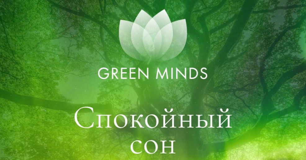 Алексей Ситников Нейромедитация GREEN MINDS «Спокойный сон» 2023 слив курса