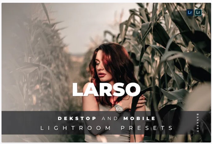 Elements.Envato Larso Desktop and Mobile Lightroom Preset 2021 слив курса