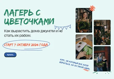 plants.coach Яна Строинская ― Лагерь с цветочками 4.0 Тариф Основной 2025 скачать слив