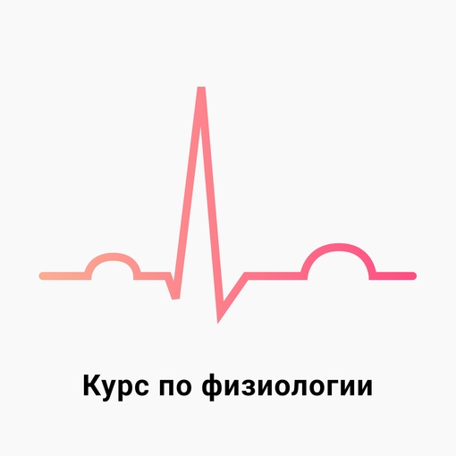 Medforyou - школа медицины Физиология 2023 слив курса